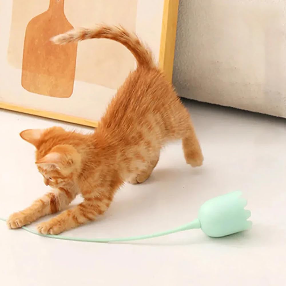 L8star 2-in-1 Cat Wand Toy: Automatic Silicone Tail Teaser & Interactive Rechargeable Kitten Exercise Toy