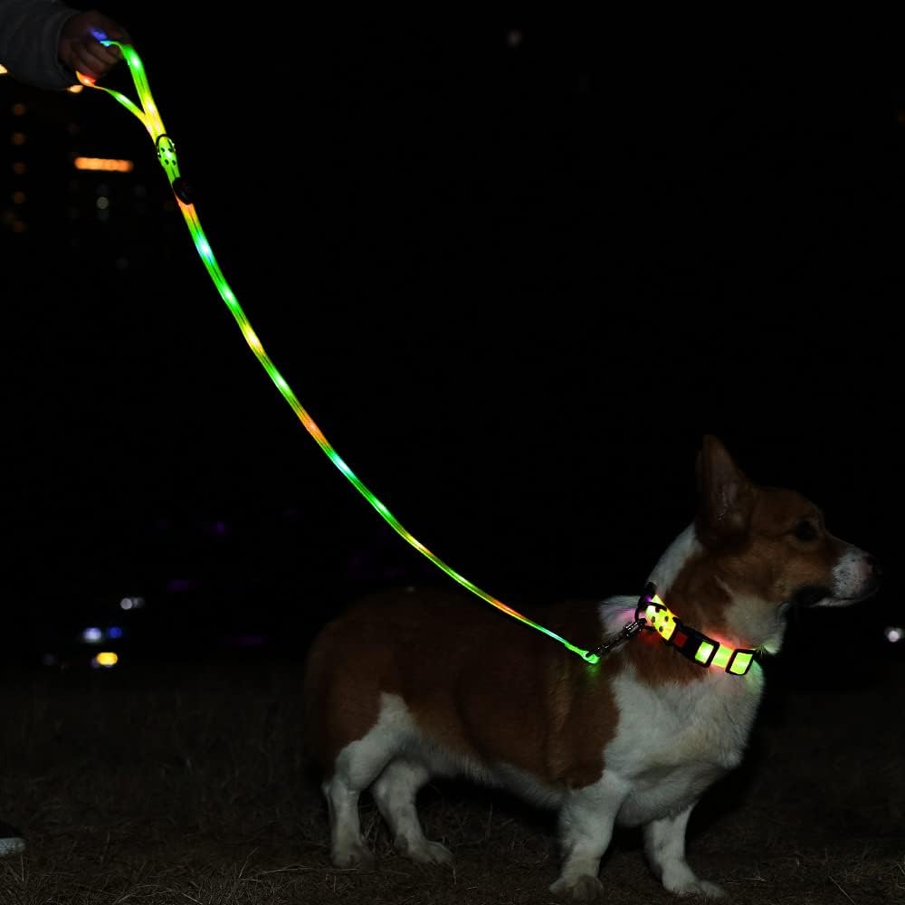 Led Light Up Dog Collar and Leash for Night Time Walking Glow in The Dark Dog Leashes and Collars Set Waterproof Rechargeable