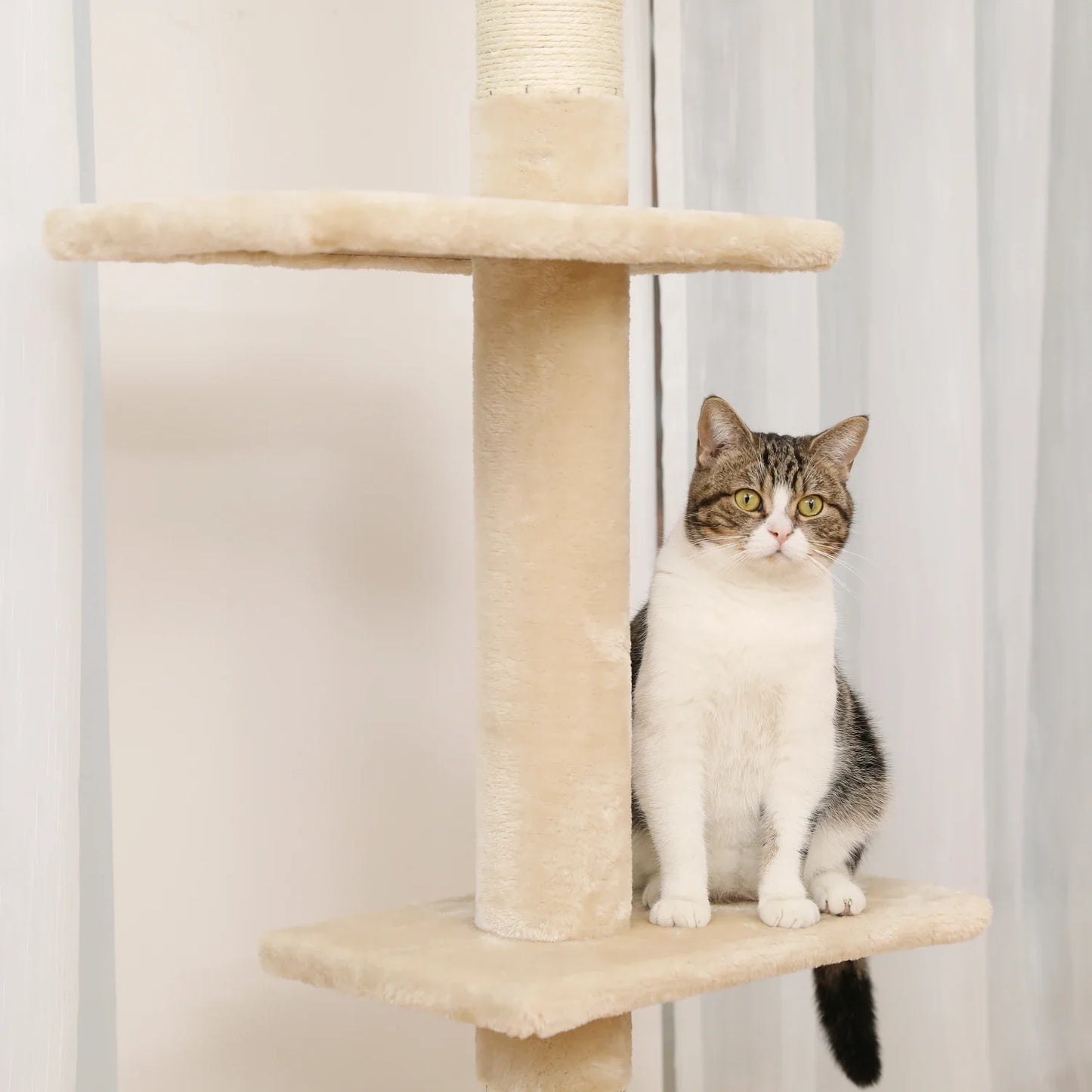 Adjustable Height Cactus Cat Tree