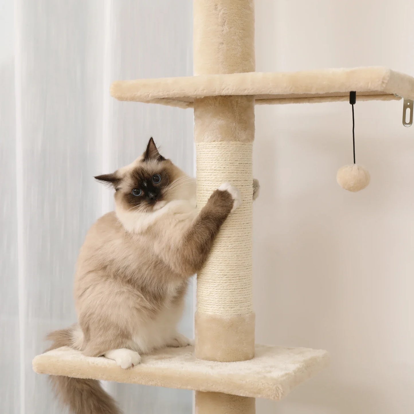 Adjustable Height Cactus Cat Tree