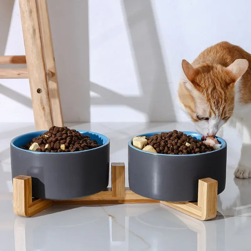 Premium Ceramic Cat Bowl | Wooden Base | Stylish & Functional!