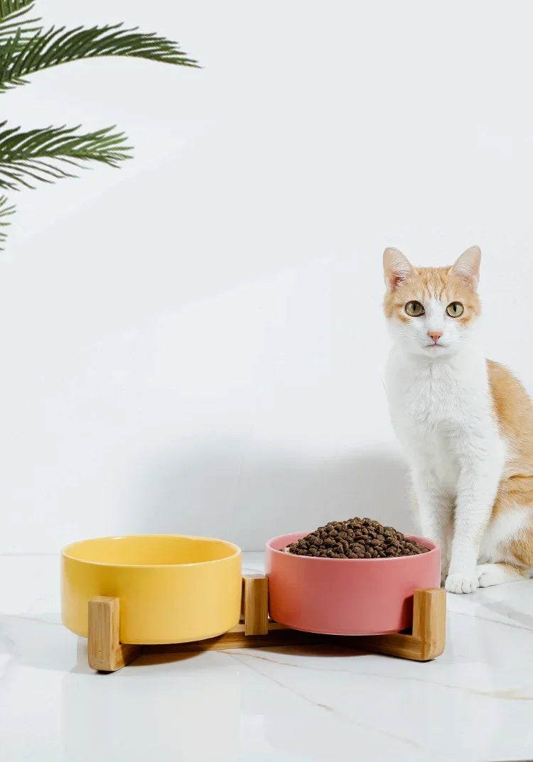 Premium Ceramic Cat Bowl | Wooden Base | Stylish & Functional!
