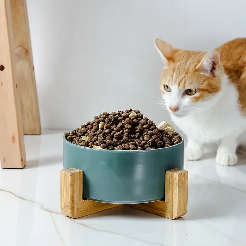 Premium Ceramic Cat Bowl | Wooden Base | Stylish & Functional!