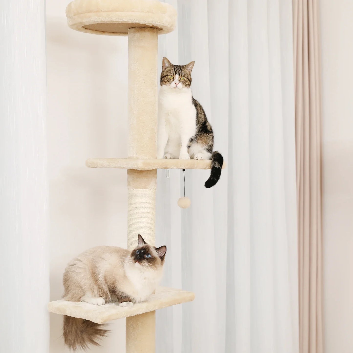 Adjustable Height Cactus Cat Tree