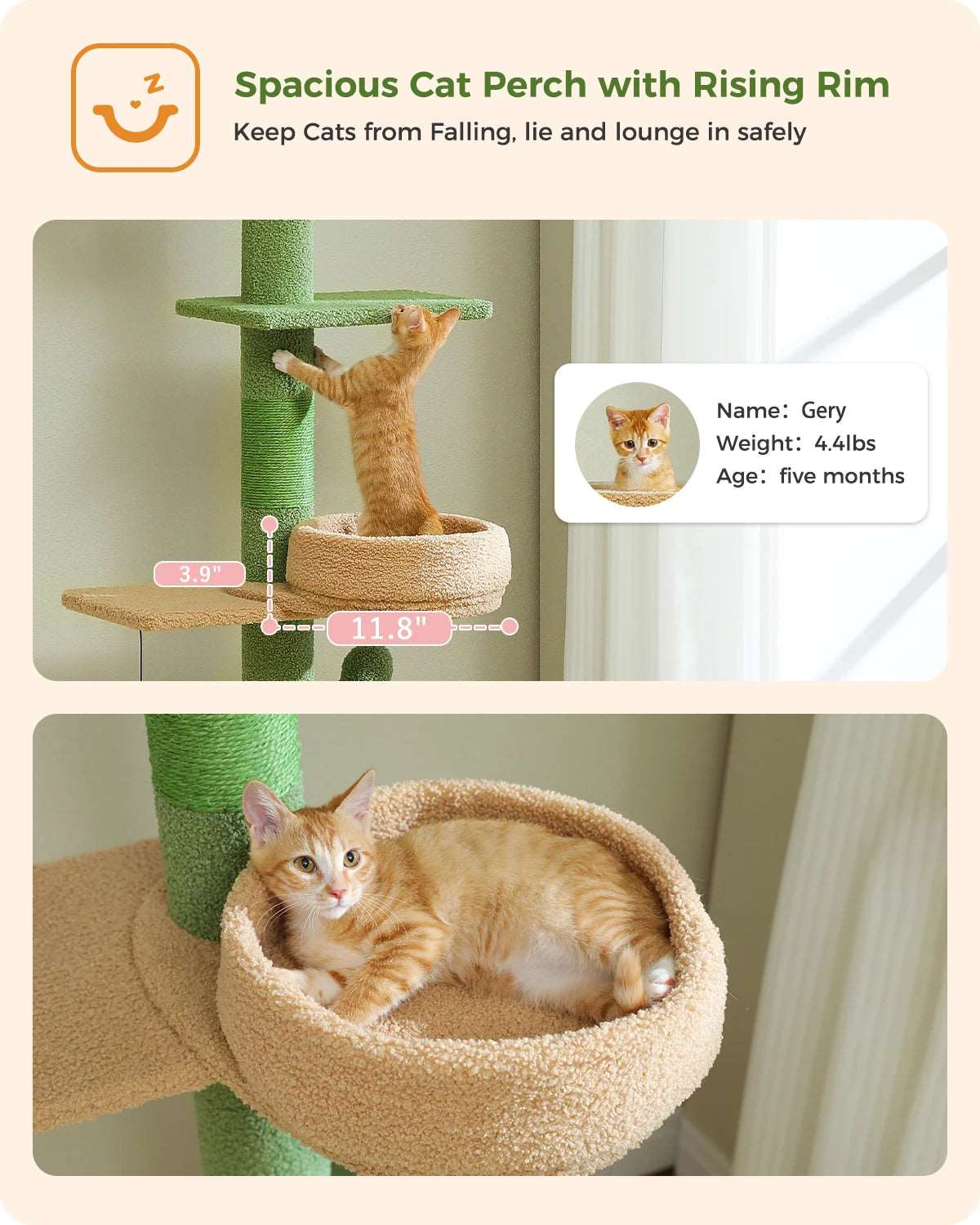 Adjustable Height Cactus Cat Tree