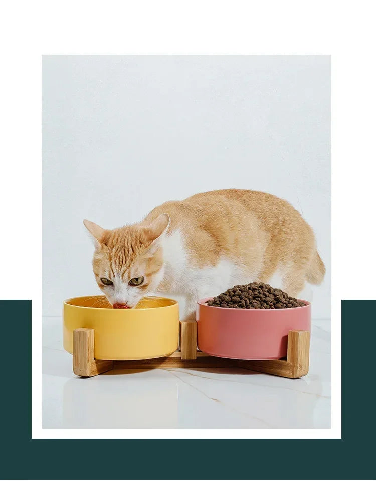 Premium Ceramic Cat Bowl | Wooden Base | Stylish & Functional!