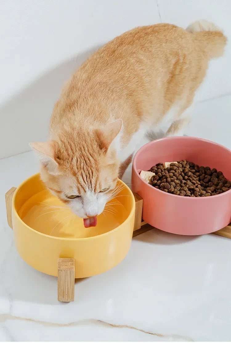 Premium Ceramic Cat Bowl | Wooden Base | Stylish & Functional!