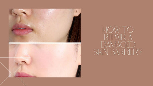 How to repair damaged skin barrier by bruadar beauty