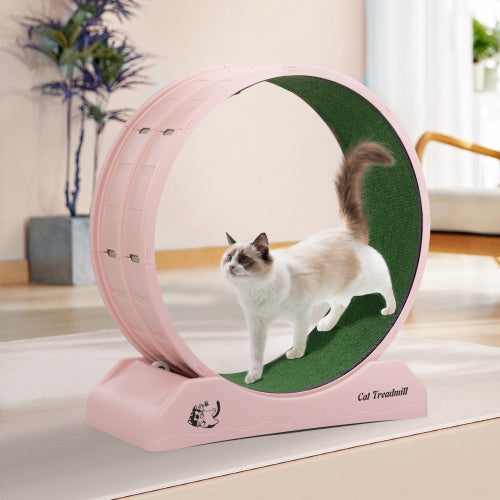 Cat Running Wheel, Small Animal Sports Treadmill With Locking Mechanism