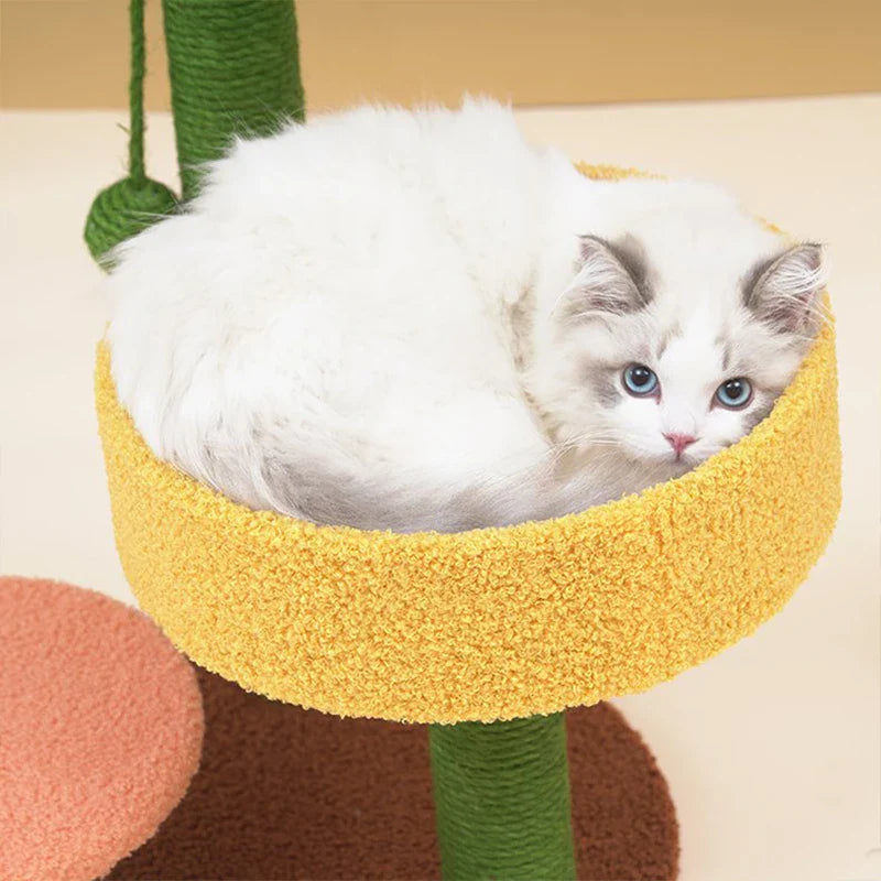 Small Cat Tree | Cactus Style Climbing Frame