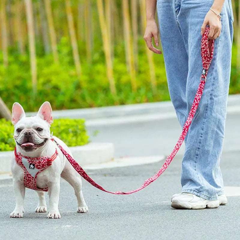 Multi-Handle Strong Dog Leash | Durable, Stylish, and Comfortable