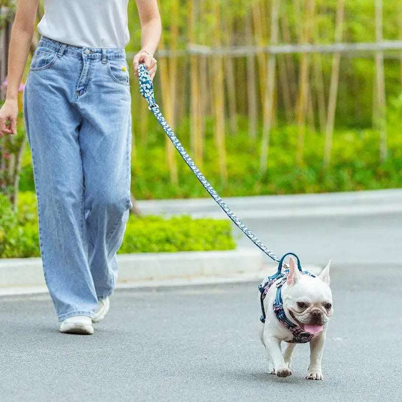 Multi-Handle Strong Dog Leash | Durable, Stylish, and Comfortable